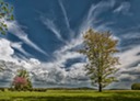 _5080014-Edit-Edit-Edit-2-Edit