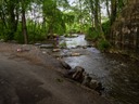 _5170113-Edit-Edit-Edit