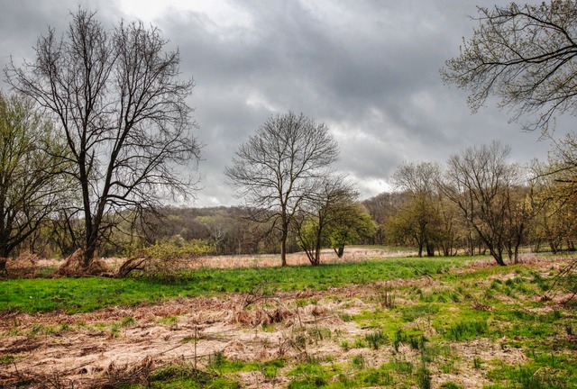 _D308370AfterTheStorm.jpg