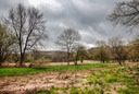 _D308370AfterTheStorm.jpg