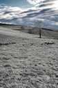  MG 4236-Edit-Edit-Edit