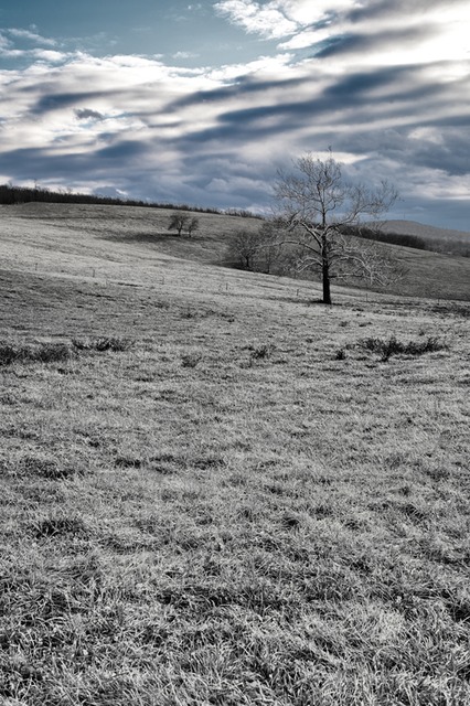 MG 4236-Edit-Edit-Edit