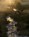 MorningLight