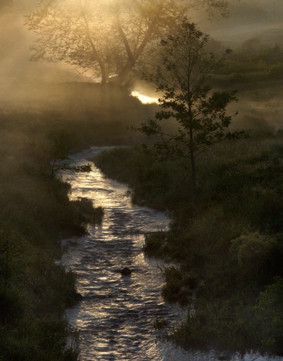 MorningLight
