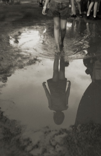 reflection