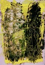 Unknown-1
