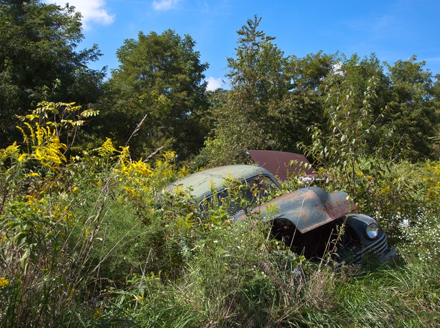 _MG_9734-Edit-Edit-Edit